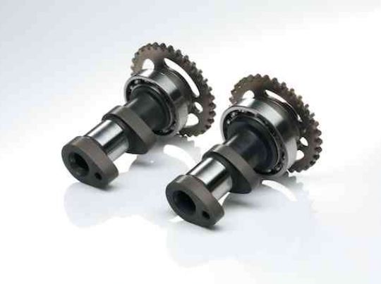 RM-Z250L3 Camshafts